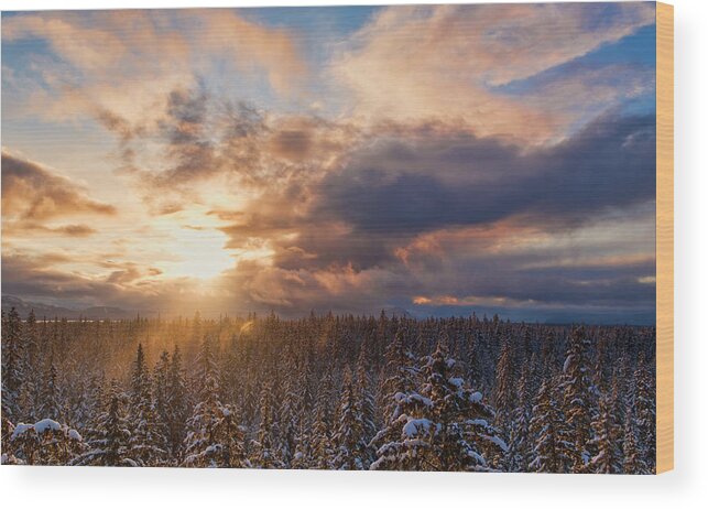 Alaska Wood Print featuring the photograph Winter Sunset #4 by Michele Cornelius