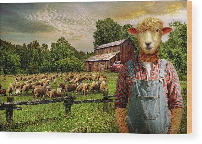 Sheep Wood Print featuring the photograph Animal - Sheep - The sheep farmer by Mike Savad