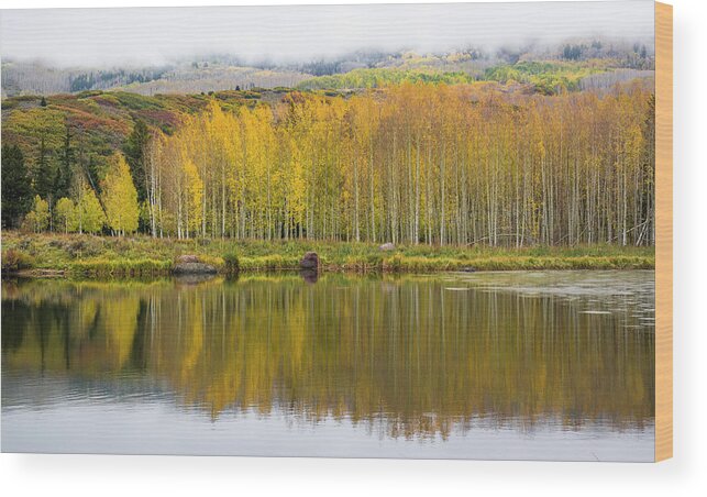 Aspen Wood Print featuring the photograph Aspen Reflection by Aaron Spong