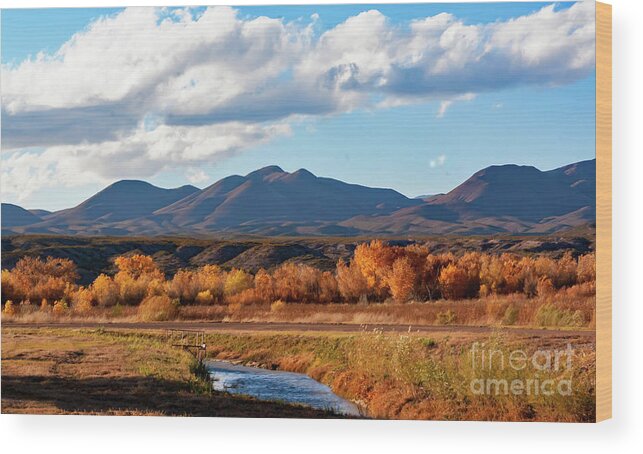 New Mexico Wood Print featuring the photograph Autumn Bosque del Apache by Neala McCarten