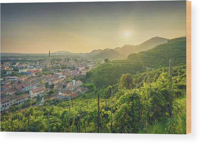 Prosecco Wood Print featuring the photograph Col San Martino at Sunset by Stefano Orazzini