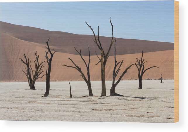 Desert Wood Print featuring the photograph Deadvleiv desert by Mache Del Campo