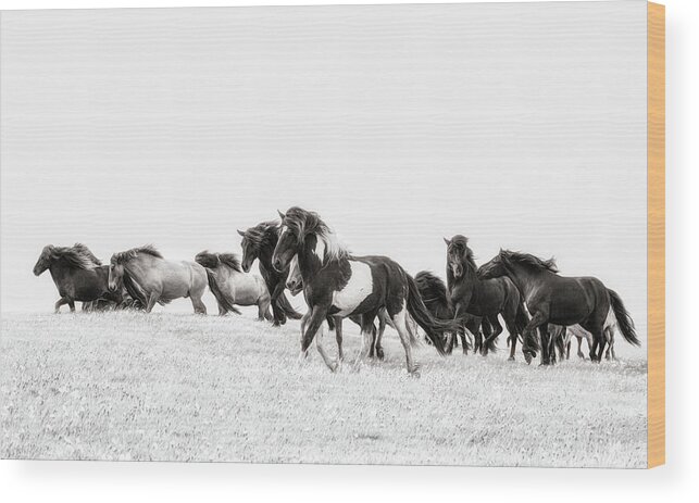 Photographs Wood Print featuring the photograph Dream Runners - Horse Art by Lisa Saint