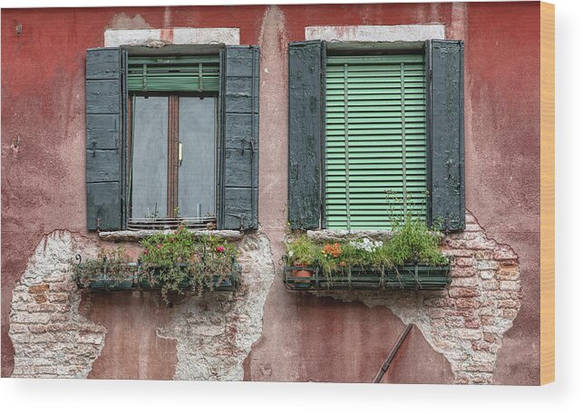 Venice Wood Print featuring the photograph Dueling Rustic Windows of Venice by David Letts