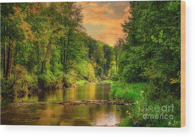 Elk River Wood Print featuring the photograph Elk River at Sunset by Shelia Hunt