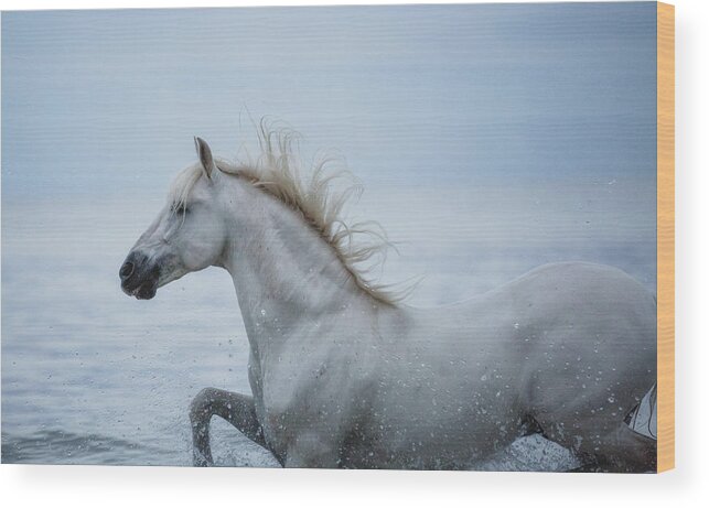 Photographs Wood Print featuring the photograph Embrace the Crazy Within - Horse Art by Lisa Saint