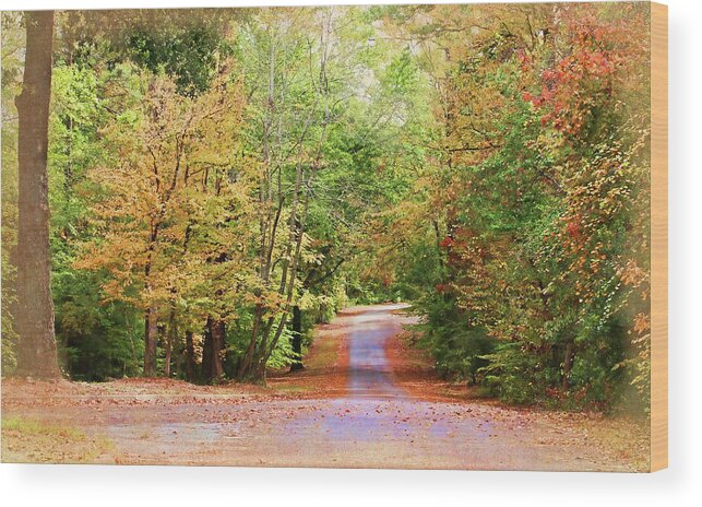 Willow Oak Wood Print featuring the photograph Fall Pathway by Judy Vincent