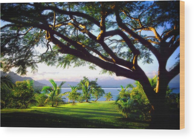 South Pacific Wood Print featuring the photograph Fijiian morning by John Bartosik