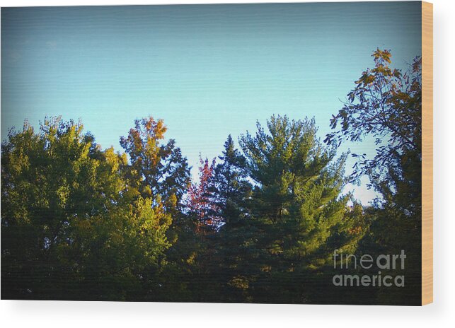 Landscape Wood Print featuring the photograph First Signs of Fall by Frank J Casella