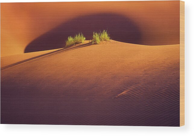 Sossusvlei Wood Print featuring the photograph Intimate Sossusvlei by Peter Boehringer