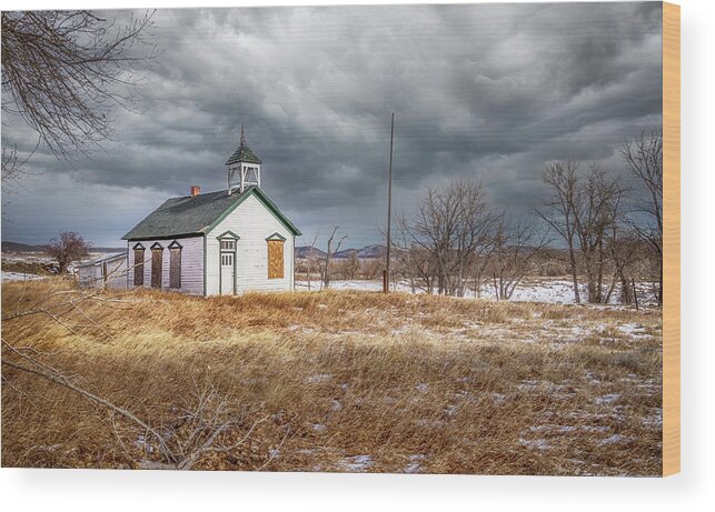 School House Wood Print featuring the photograph Moss Agate Schoolhouse by Laura Terriere