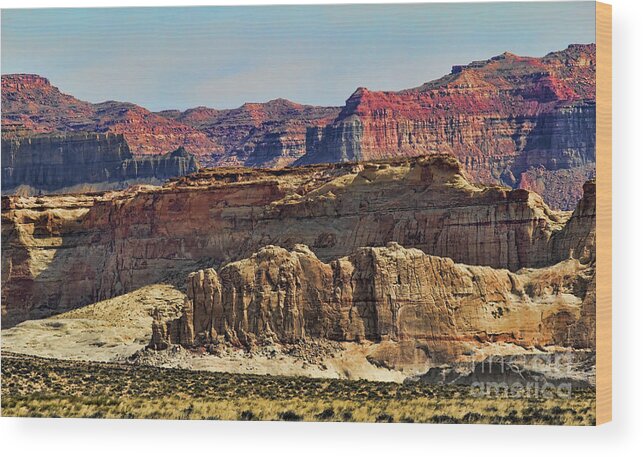  Arizona Wood Print featuring the photograph Nature Best Arizona Landscape by Chuck Kuhn