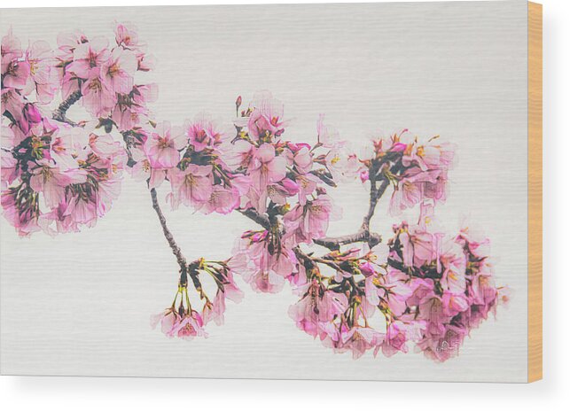 Pink Wood Print featuring the photograph Pink Blossoms by Pam DeCamp