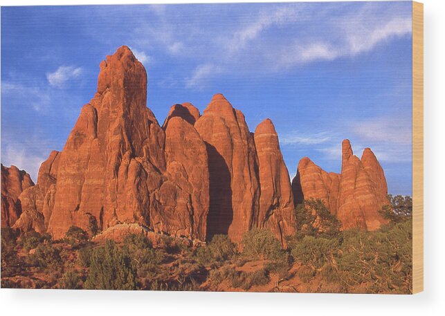 Desert Wood Print featuring the photograph Roadside Beauty in Utah by Mike McGlothlen