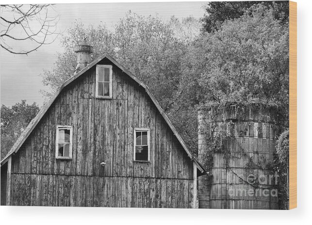 Barn Wood Print featuring the photograph Rugged Barn by Jan Day