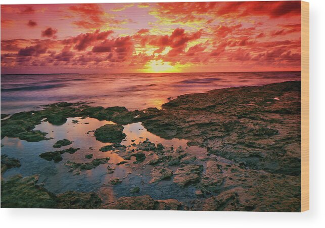 Water Wood Print featuring the photograph Sea Fire by Montez Kerr
