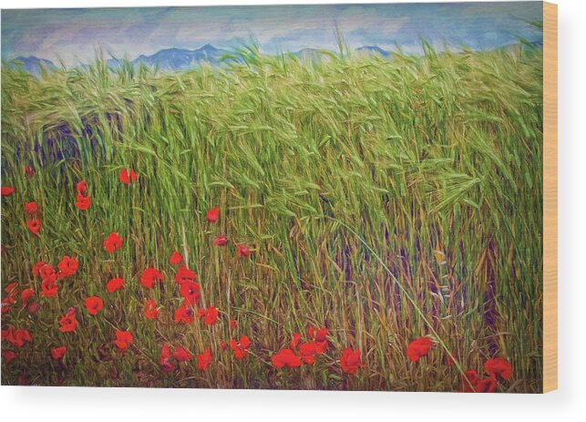 Red Poppies Wood Print featuring the mixed media Spanish Red Poppies by Tatiana Travelways