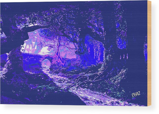 Forest Wood Print featuring the digital art Stream Through The Forest by CHAZ Daugherty