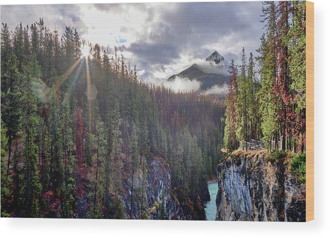 Jasper Wood Print featuring the photograph Sunwapta river jasper by Carl Marceau