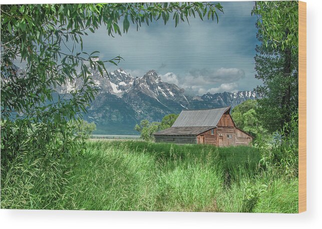 Barn Wood Print featuring the photograph T A Moulton Barn, Grand Tetons by Marcy Wielfaert