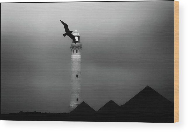 Landscape Wood Print featuring the photograph The Lighthouse by Angelika Vogel