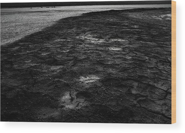 Mojave Desert Wood Print featuring the photograph The Parched Earth by Mark Gomez
