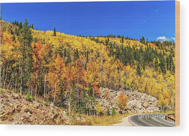 Jon Burch Wood Print featuring the photograph The Road to Autumn by Jon Burch Photography