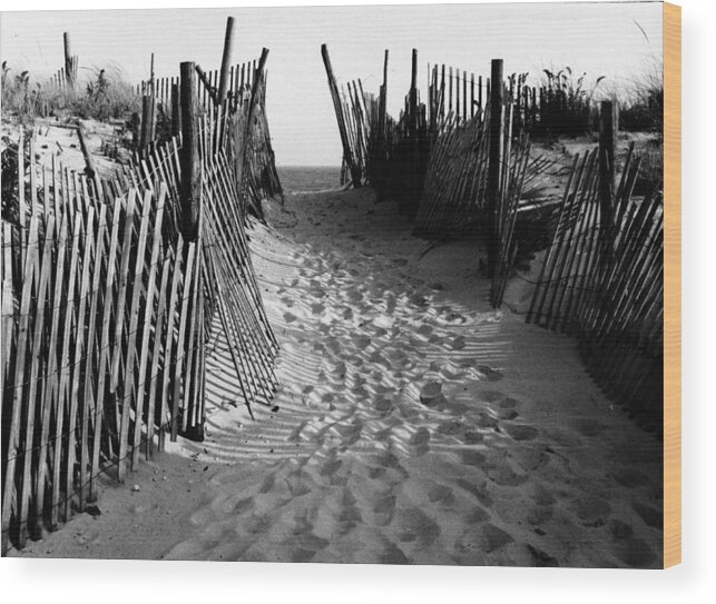 Long Beach Island Nj Wood Print featuring the photograph Long Beach Island NJ 1977 - Black/White by Jacqueline M Lewis