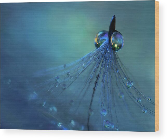 Blue Wood Print featuring the photograph Dancing Into The Blue Night #1 by Heidi Westum