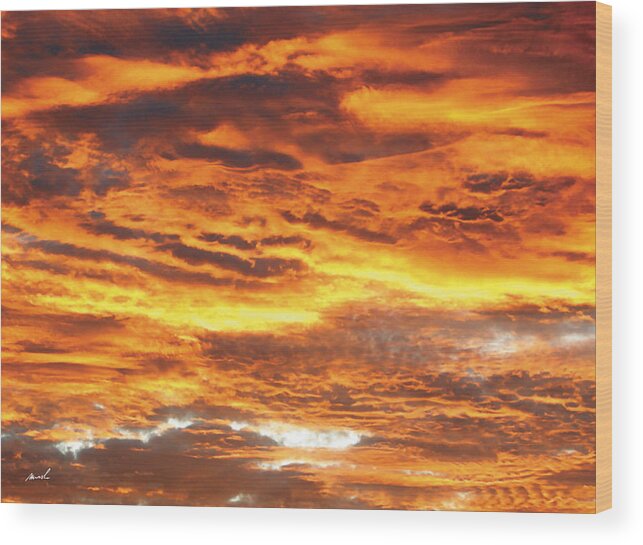 Sunrise Wood Print featuring the photograph Morning Sun 5 #1 by The Art of Marsha Charlebois