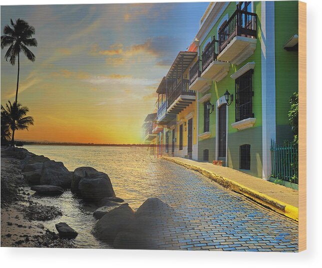 Puerto Rico Wood Print featuring the photograph Puerto Rico Collage 4 by Stephen Anderson