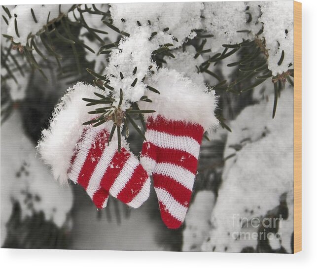 Maine Wood Print featuring the photograph Striped by Karin Pinkham