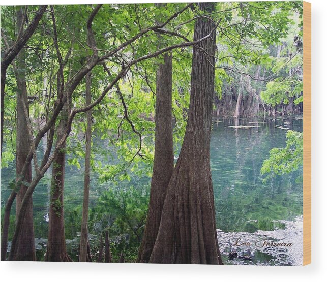 Old Florida Wood Print featuring the photograph Florida Springs #1 by Louis Ferreira