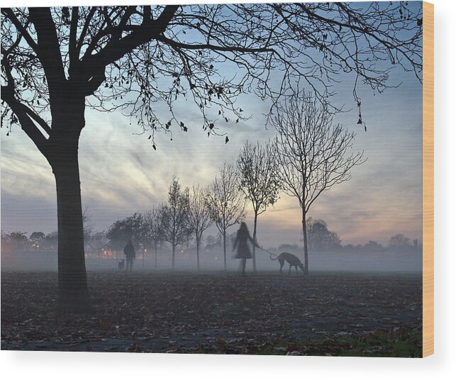 Dogs Wood Print featuring the photograph Misty afternoon in the park #2 by Gary Eason