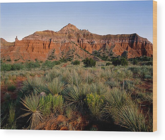 Amarillo Wood Print featuring the photograph Palo Duro Canyon #2 by Richard Smith