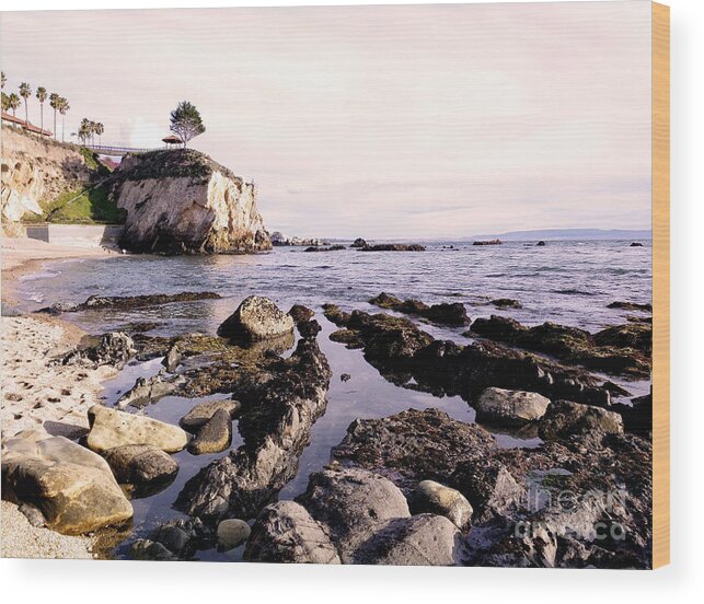 Beach Wood Print featuring the photograph Pismo Beach California #2 by Haleh Mahbod