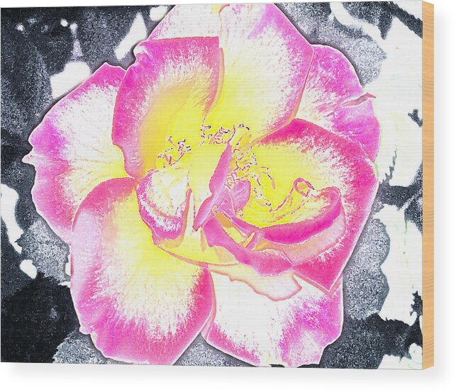 Floral Wood Print featuring the photograph Rose 3 #2 by Pamela Cooper