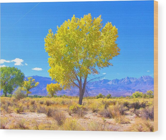 Sky Wood Print featuring the photograph A Desert Autumn by Marilyn Diaz