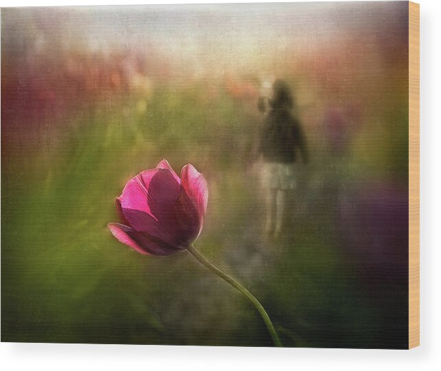 Pink Wood Print featuring the photograph A Pink Childhood Memory by Shenshen Dou