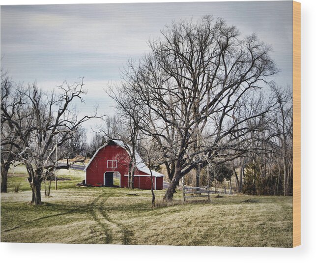 Americana Wood Print featuring the photograph Americana by Cricket Hackmann