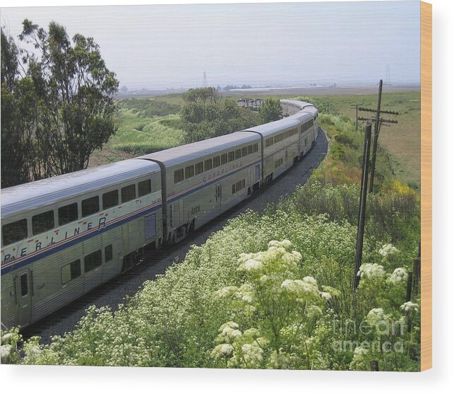 Amtrak Wood Print featuring the photograph Coast Starlight at Dolan Road by James B Toy