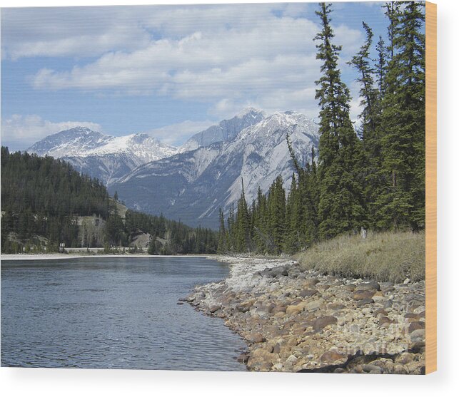 Jasper Wood Print featuring the photograph Athabasca River - Jasper - Alberta by Phil Banks