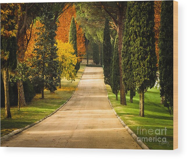 Autumn Drive Wood Print featuring the photograph Autumn Drive by Prints of Italy