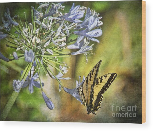 Plant Wood Print featuring the photograph Backyard Nature by Peggy Hughes