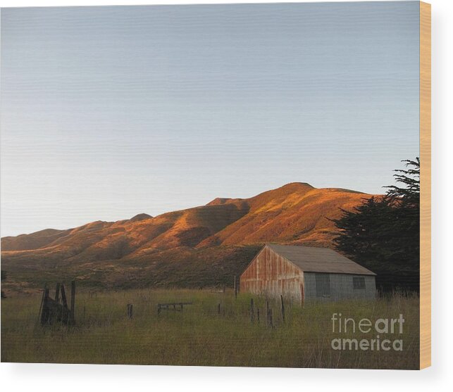 Garrapata State Park Wood Print featuring the photograph Barn at Garrapata State park by James B Toy