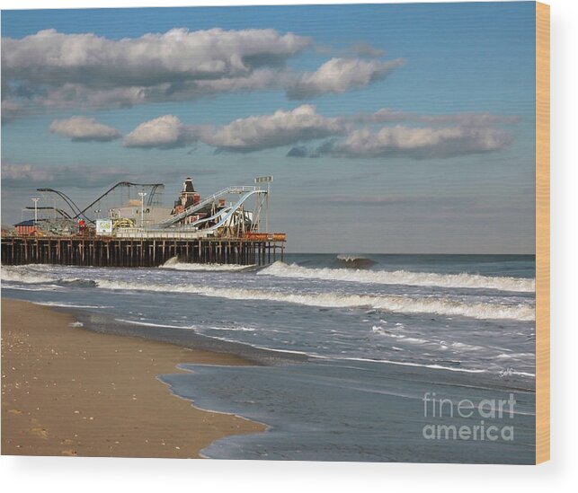 Landscape Wood Print featuring the photograph Beautiful day at the beach by Sami Martin