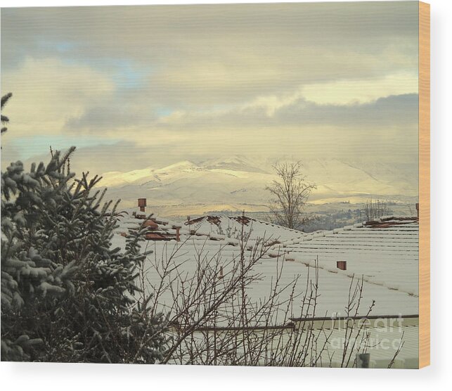 Snowy Rooftops Wood Print featuring the photograph Beautiful Sparkling Snow by Phyllis Kaltenbach