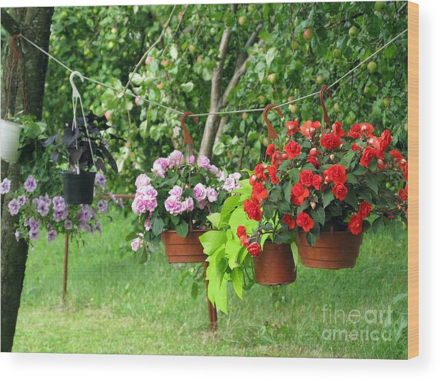 Flower Wood Print featuring the photograph Begonias On Line by Ausra Huntington nee Paulauskaite