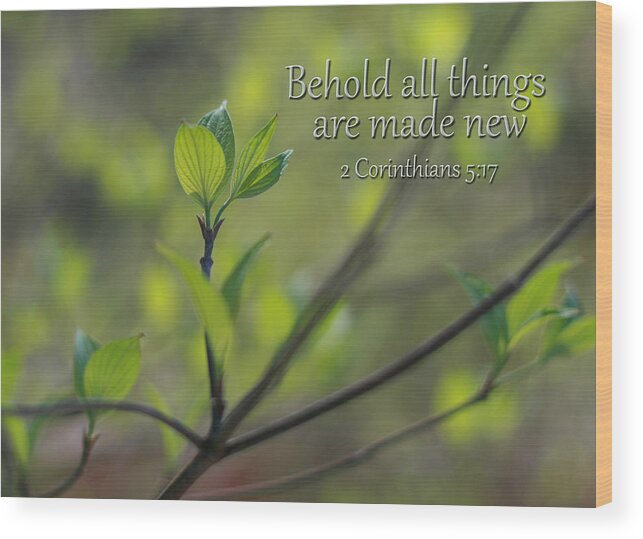 Scripture Wood Print featuring the photograph Behold all things are new by Denise Beverly