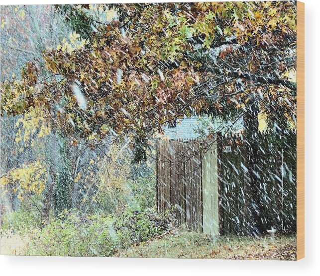Between Seasons Wood Print featuring the photograph Between Seasons by Janice Drew